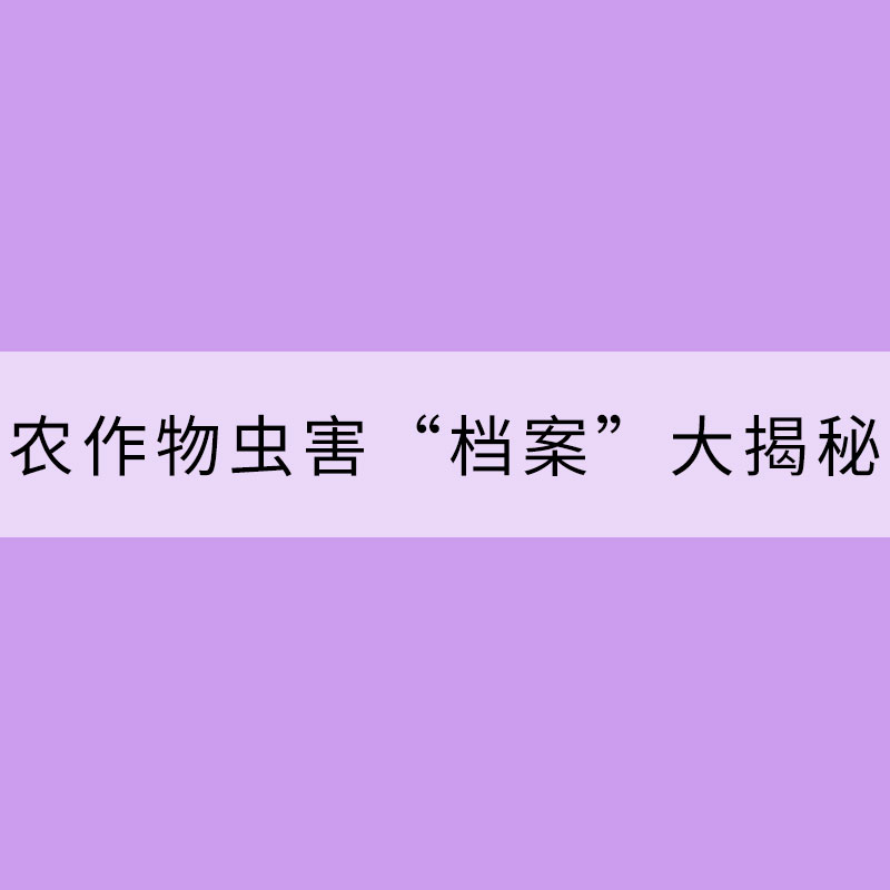 盤點(diǎn)：常見農(nóng)作物蟲害“檔案”大揭秘